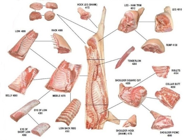  Catalogue de production de viande de Porc 
